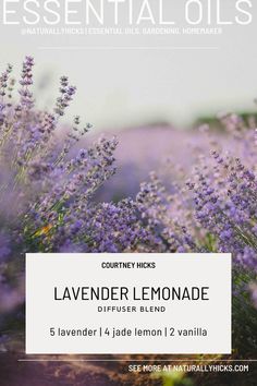 Lavender Lemonade - lavender, jade lemon, vanilla. Essential oil diffuser blend using young living oils. Save 24% off Young Living products when you sign up with a membership. Click the link to learn more!   Courtney Hicks | Member #24355928 |  #diffuserblends #youngliving #essentialoils #essentialoilblends #essentialoilreceipes #diffuser #younglivingdiffuserblends #younglivingessentialoils #younglivingoils #younglivingproducts#diffuserreceipe #summerdiffuserblends #summerdiffuserblend Lemonade Lavender, Young Living Essential Oils Starter Kit, Young Living Essential Oil Diffuser, Diffuser Blends Young Living, Young Living Products, Wild Kitchen, Essential Oil Starter Kit