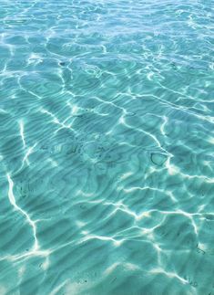 the water is very clear and blue with little ripples on it's surface