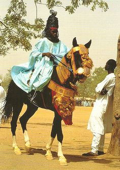 a man riding on the back of a brown horse next to a tall wooden tree