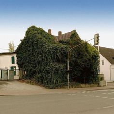 an ivy covered building on the corner of a street