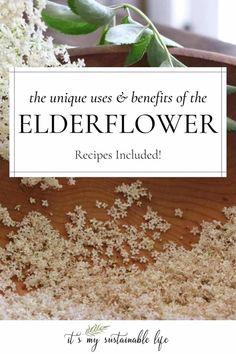 the unique uses & benefits of the elderflower recipes included by it's my simple life