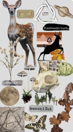 a collage of deer, mushrooms, and other things in the shape of a circle