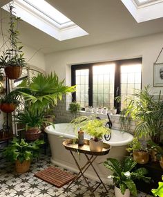 a bath tub sitting next to a window filled with plants