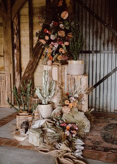 an arrangement of cactus and succulents is arranged on the floor