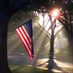 an american flag is flying in the sunbeams on a tree - lined street