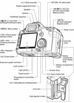 the parts of a digital camera labeled in this diagram are shown below and below it's names