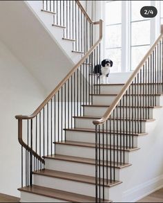 there is a dog that is sitting on the stair railing next to the stairs in this house