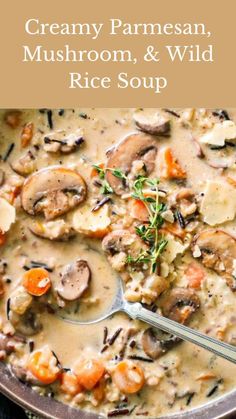 creamy parmesan mushroom and wild rice soup