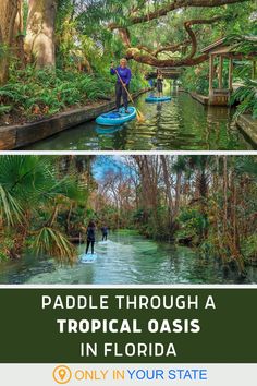 paddle through a tropical oasis in florida with text overlay that reads paddle through a tropical oasis in florida only in your state