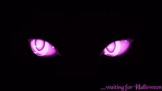 the eyes of a cat glowing in the dark with purple lighting on it's face