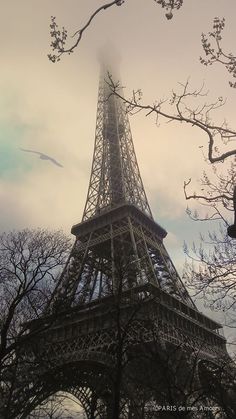 the eiffel tower is surrounded by bare trees and branches in front of a cloudy sky