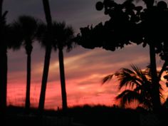 the sun is setting behind some palm trees