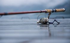 a fishing rod and reel laying on the ground