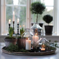 candles are lit in glass vases on a tray with succulents and moss