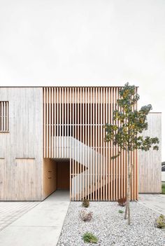 a tree in front of a building that has wooden slats on the walls and sides