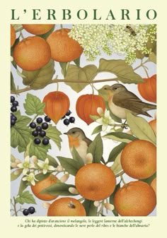 an orange tree with birds and berries on it's branches, in front of the words l'erbolario