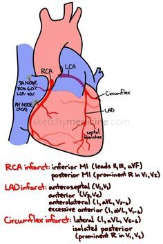 an image of the human heart with labels on it and instructions to label them in english