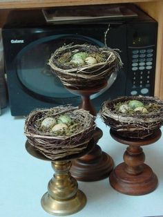 three birds nests sitting on top of wooden pedestals in front of a microwave