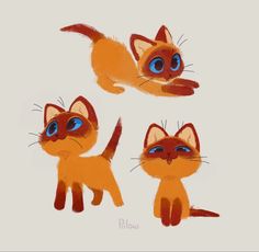 three orange kittens with blue eyes are shown in four different positions, one on the left and one on the right