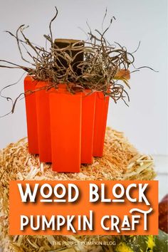 an orange pumpkin craft with the words wood block pumpkin craft on it's side