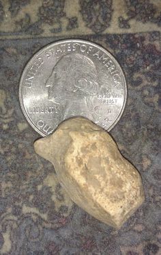 a dime sitting on top of a carpet next to a rock