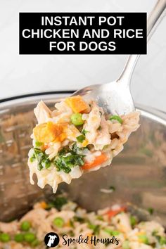 instant pot chicken and rice for dogs is shown with a spoon full of the food