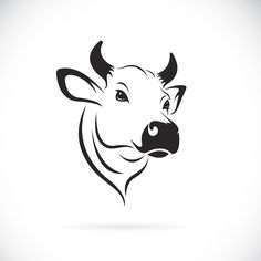 a cow's head on a white background