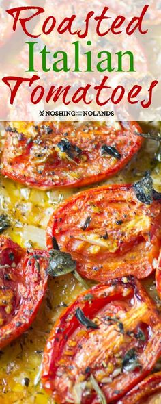 roasted italian tomatoes with basil and mozzarella sauce