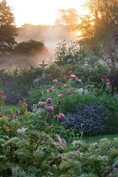 the sun shines through the trees and bushes in this garden filled with flowers, shrubs, and plants