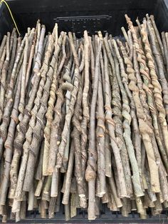 "Blank" Vine Curled Walking Sticks 36"- 42" (Shopify) – Kentucky Walking Stick Stick Carving, Backyard Fort, Unique Walking Sticks, Bear Claw Necklace, Walking Staff, Hiking Staff, Wooden Walking Canes