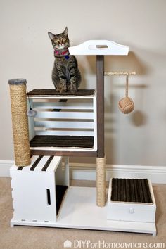 a cat sitting on top of a scratching tower