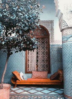 a tree in front of a blue tiled wall with an orange bench and potted plant