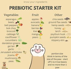 a poster with the words prebiotic starter kit written in different languages and pictures on it