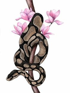 a drawing of a snake on a branch with pink flowers