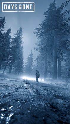 a man is walking through the woods on a foggy day with trees in the background