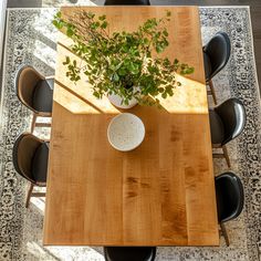 an overhead view of a table with chairs and a plant in a white bowl on it