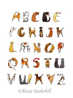 the letters are made up of dogs and cats