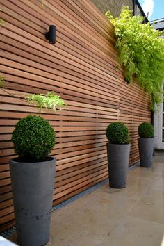 three planters on the side of a wooden wall with plants growing out of them