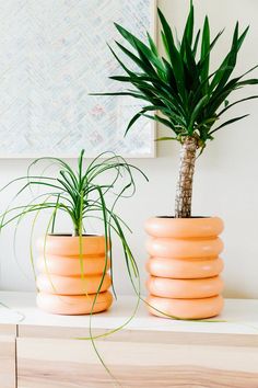 two potted plants sitting on top of a white shelf