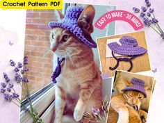 an image of a cat wearing a crochet hat on the window sill