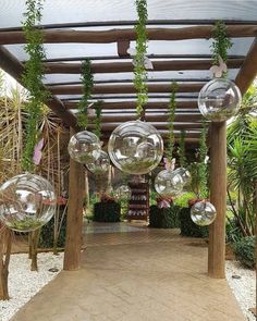 an outdoor area with clear balls hanging from the ceiling and plants growing out of them