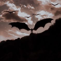 two large black bats flying in the sky over a mountain top with clouds above it