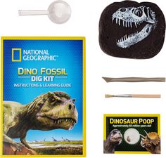 the dinosaur fossil kit includes an egg, spoon and other items to make it look like a real dinosaur