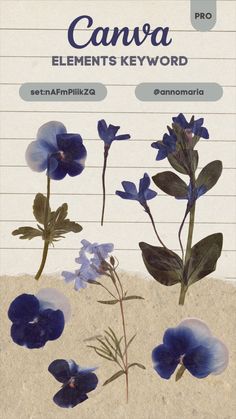 an old book with blue flowers and leaves on the cover, which reads canva elements keyword