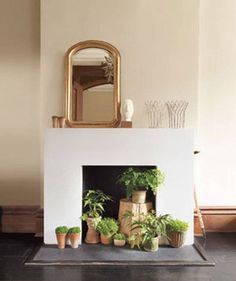 a fireplace with potted plants on the mantle and a mirror above it in a living room