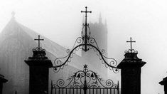 an iron gate in front of a church on a foggy day