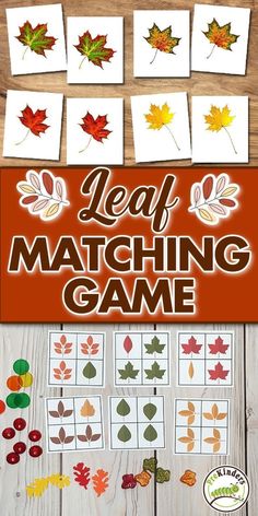 leaf matching game for kids to play with leaves