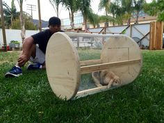 a man kneeling down next to a cat in a cage on the grass with a dog inside