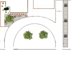 an image of a garden plan with trees and plants in it, including two bushes