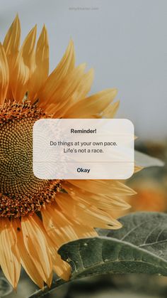 a large sunflower with a quote about reminders on the front and back side